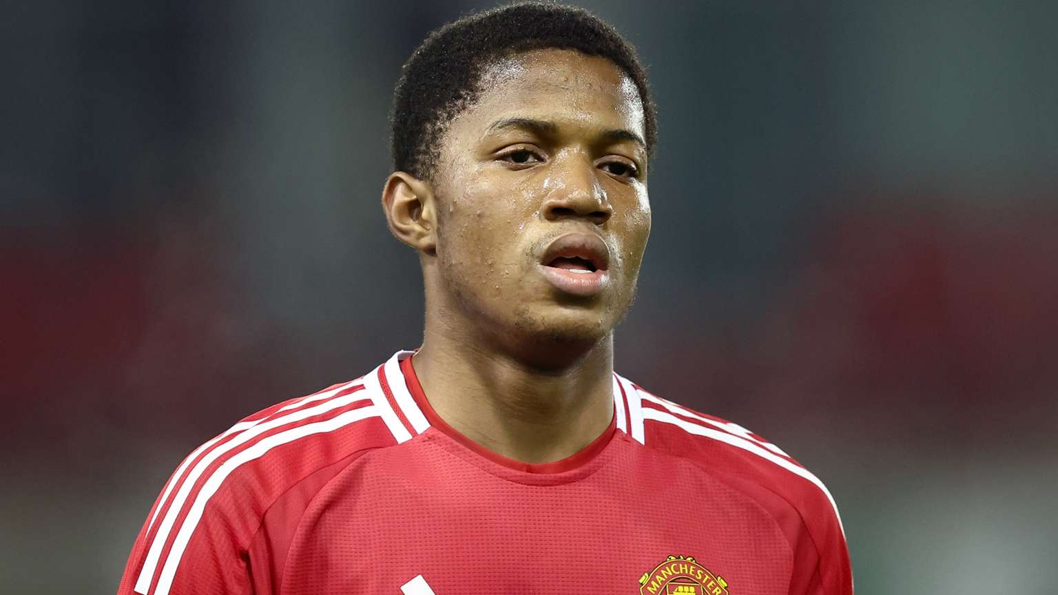 定性也为新 定性也为新